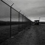 Borders, Bodies, Passports: Performance Art and the Politics of Migration