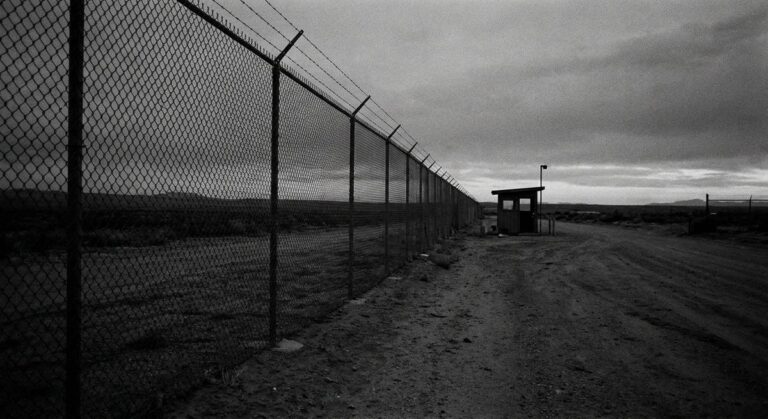 Borders, Bodies, Passports: Performance Art and the Politics of Migration