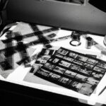 Documentary Turns: Photography, Evidence, and Political Truth